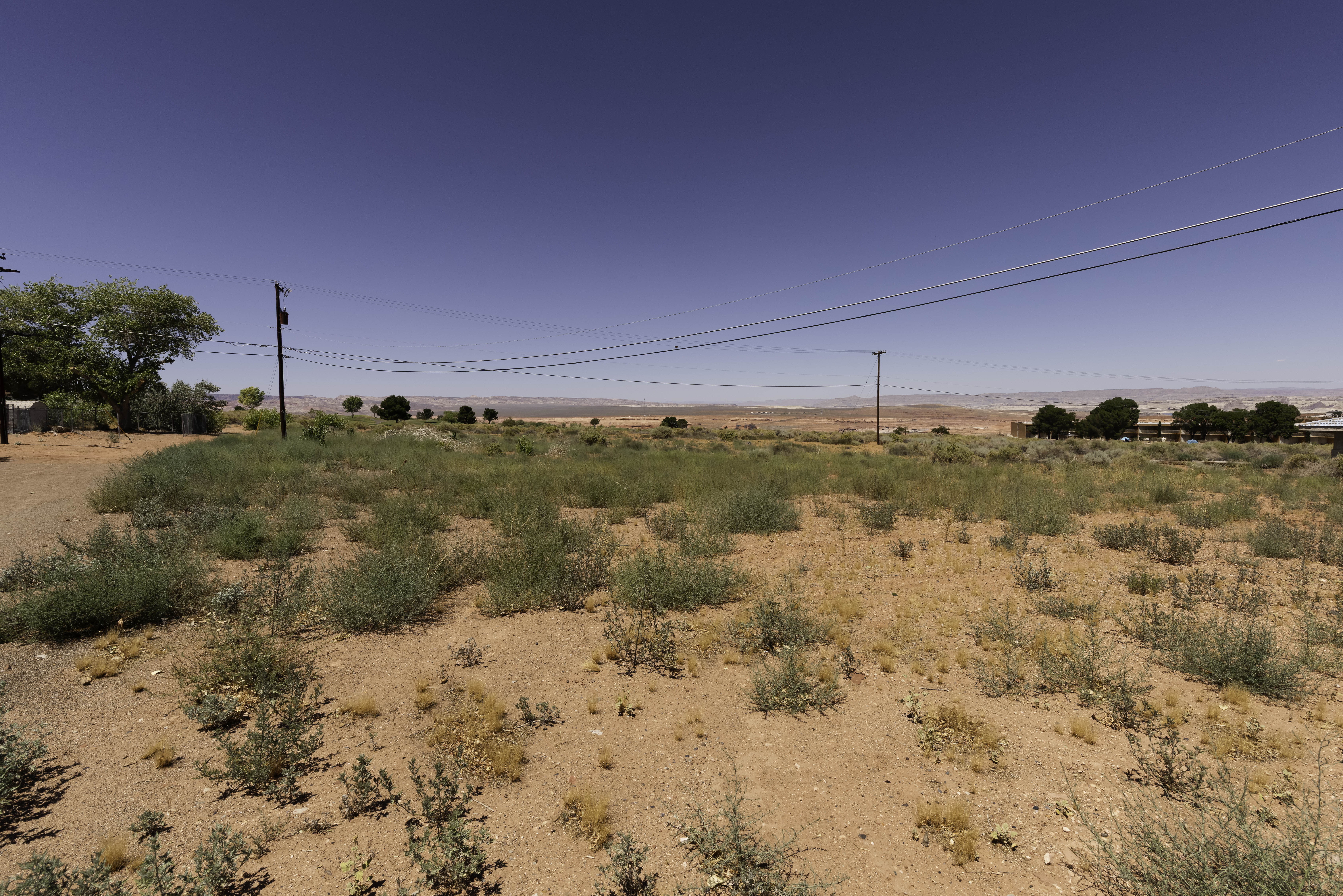 The vacant city owned lot unofficial known as Frost Park to some.