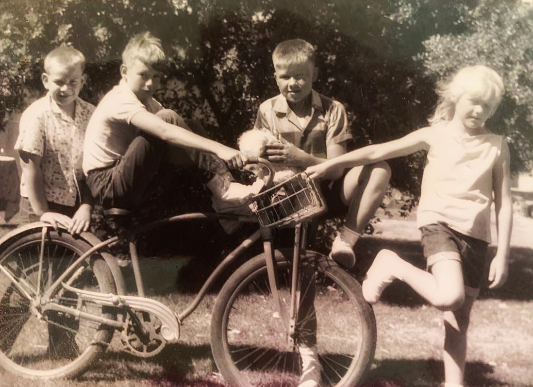 Days of My Youth